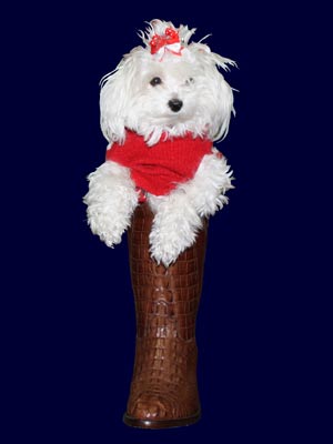 maha merry christmas in a handmade cognac hornback alligator boot