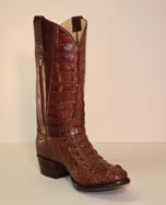 Brown Hornback Alligator